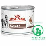 Royal Canin 195 GR Recovery Kedi Köpek Konservesi