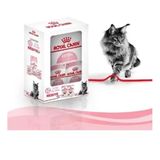 Royal Canin 2 kg Kitten Yavru Kedi Maması +2x85 gr Kitten Yaş Mama