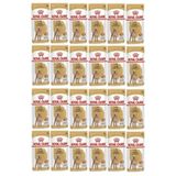 Royal Canin 24x85 gr Adult Poodle Caniche Tüy Sağlığı Destekleyici Yetişkin Köpek Konservesi