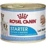 Royal Canin 2x195 gr Starter Mother Köpek Maması