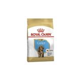 Royal Canin 3 kg Cocker Yavru Köpek Kuru Maması