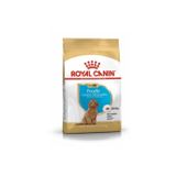 Royal Canin 3 kg Dog Poodle Junior Köpek Maması