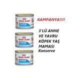 Royal Canin 3 Lü Anne Ve Yavru Için Konserve Yaş Köpek Maması