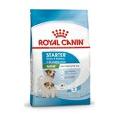 Royal Canin 4 kg Mini Starter Mother Babydog Küçük Irk Yavru Köpek Maması