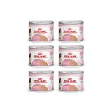 Royal Canin 6x195 gr Mother Babycat Anne Hamile ve Yavru Kediler Için Konserve Kıyılmış Pate Yaş Mama