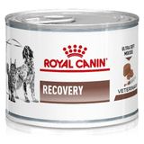 Royal Canin 6x195 gr Recovery Kedi Köpek Konservesi