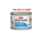 Royal Canin 6x195 gr Starter Mother Babydog Konserve