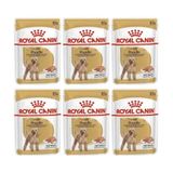 Royal Canin 6x85 gr Adult Poodle Caniche Tüy Sağlığı Destekleyici Yetişkin Köpek Konservesi