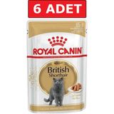 Royal Canin 6x85 gr Pouch British Shorthair Irkına Özel Yaş Kedi Maması