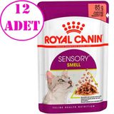 Royal Canin 6x85 gr Sensory Smell Etli ve Balıklı Soslu Kedi Konservesi