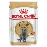Royal Canin 85 gr Pouch British Shorthair Irkına Özel Yaş Kedi Maması