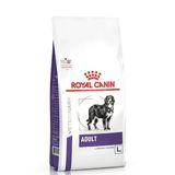 Royal Canin Adult Large Dog Büyük Irk Köpek Maması 13 kg (Eklem ve Sindirim Destekli)