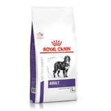 Royal Canin Adult Large Dog Büyük Irk Köpek Maması 13KG