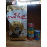 Royal Canin Adult Persian Yetişkin Kuru Kedi Maması Tavuklu 2 Kg 5 Adet Karışık Aroma Püre Kedi Konserve 85 Gram+1 Adet Tavuklu Kedi Çorbası 135 Ml