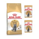 Royal Canin Adult Yetişkin British Shorthair Kedi Maması 2 kg + Royal Canin Yetişkin British Shorhai