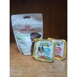 Royal Canin Bağışıklık Ve Sindirim Sistemini Destekleyen Tamamlayıcı Ödül Maması 160 Gram+2 Adet Somonlu&Kuzulu Köpek Pate Konserve