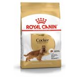 Royal Canin Bhn Cocker Adult Yetişkin Köpek Maması 3 kg CS600065