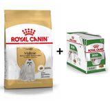 Royal Canin Bichon Maltais 2x1.5 kg Yetişkin Köpek Maması