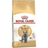 Royal Canin Biritsh Shorthair Cinsi Üretilmiş Adult BS Cat Food 4 kg Kedi Kuru Kedi Maması