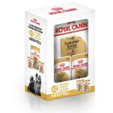 Royal Canin BOX Yorkshire Terrier Köpek Maması 1,5 Kg