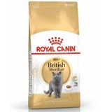 Royal canin british hot sale shorthair 10 kg