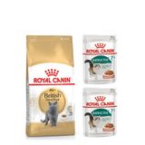 Royal Canin British Shorthair 2 kg British Shorthair Adult Kedi Kuru Maması + 2 Adet Yaş Kedi Maması
