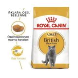 Royal Canin British Shorthair 2 kg Kuru Kedi Maması