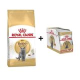 Royal Canin British Shorthair 4 kg Yetişkin Kedi Maması + 12 Adet Yaş Mama