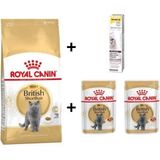 Royal Canin British Shorthair 4 kg Yetişkin Kedi Maması + Rc 2x85 gr Yaş Mama + Gimcat 20 gr Malt