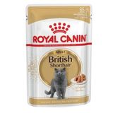 Royal Canin British Shorthair 6x85 gr Yaş Kedi Maması
