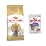Royal Canin British Shorthair Adult 2 kg Kuru Kedi Maması+85 gr Yaş Mama