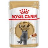 Royal Canin British Shorthair Adult Pouch Yetişkin 24 Adet x 85 gr Kedi Yaş Maması