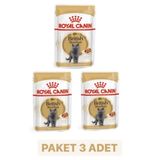 Royal Canin British Shorthair Adult Yetişkin Yaş 3x85 gr Kedi Mama