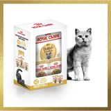 Royal Canin British Shorthair Için Özel Irk Yetişkin Kedi Maması 2 kg + 2 Adet Pouch Hediyeli - Kümes Hayvanı
