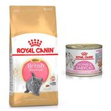 Royal Canin British Shorthair Kitten Yavru 2 kg Kedi Maması + Royal Canin Mother 195 gr & Baby Konserve