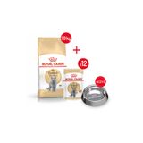 Royal Canin British Shorthair Kuru Kedi Maması 10kg +Yaş Mama 12*85+ Çelik mama kabı