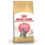 Royal Canin British Shorthair Yavru Özel İçerik 2 kg Kuru Kedi Maması