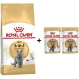Royal Canin British Shorthair Yetişkin 4 kg Kedi Maması + 2 Adet Yaş Mama Hediye