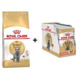Royal Canin British Shorthair Yetişkin Kedi Maması 10 kg + 12 Adet Royal Canin British Shorthair Yaş Kedi Maması 85 Gr 3182550756464-8151
