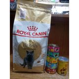 Royal Canin British Shorthair Yetişkin Kedi Maması 2 Kg + 5 Adet Karışık Aroma Püre Kedi Konserve 85 Gram+1 Adet Tavuklu Kedi Çorbası 135 Ml