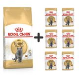 Royal Canin British Shorthair Yetişkin Kedi Maması 2 kg + 6 Adet Yaş Mama