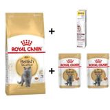 Royal Canin British Shorthair Yetişkin Kedi Maması 4 kg +2 Adet RC Yaş Mama 85 Gr + 20 gr GimCat Malt 3182550756440-01495
