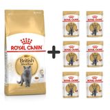 Royal Canin British Shorthair Yetişkin Kedi Maması 4 kg + 6 Adet Yaş Mama 3182550756440-6PT