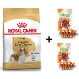 Royal Canin Cavalier King Charles 3 kg Yetişkin Köpek Maması + 2x80 gr Wooc Ödül