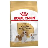 Royal Canin Cavalier King Charles 3 kg Yetişkin Kuru Köpek Maması
