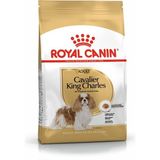 Royal Canin Cavalier King Charles Kuru Köpek Maması Av Eti 1.5kg Yetişkin Köpekler İçin Özel Formül