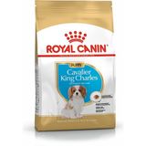 Royal Canin Cavalier King Charles Yavru Köpek Maması 1.5 kg Av Eti İçerikli Sağlıklı Beslenme