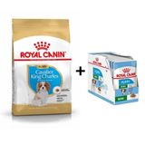 Royal Canin Cavalier King Charles Yavru Köpek Maması 1,5 Kg + 12 Adet Yaş Mama 3182550813051-6070