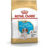 Royal Canin Cavalier King Charles Yavru Köpek Maması 1,5 kg Küçük Irk İçin Kümes Hayvanı Proteini