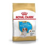 Royal Canin Cavalier King Charles Yavru Köpek Maması Tavuk 1,5 kg Süper Premium Besin